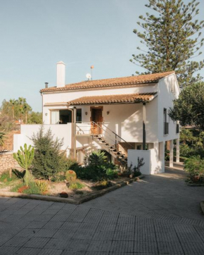 Casa Araucaria